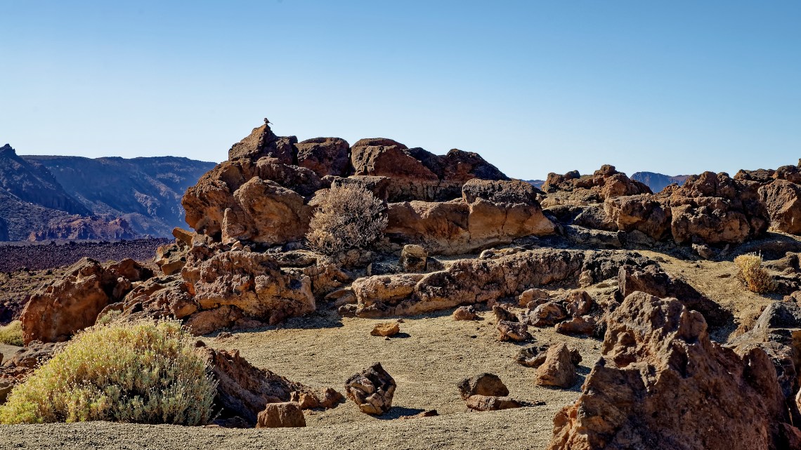 _DS05048_Nik_Nik_Nik_DxO