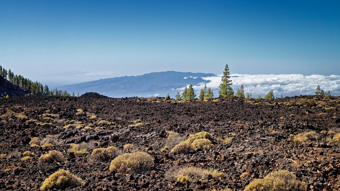 _DS05059_Nik_Nik_Nik_DxO