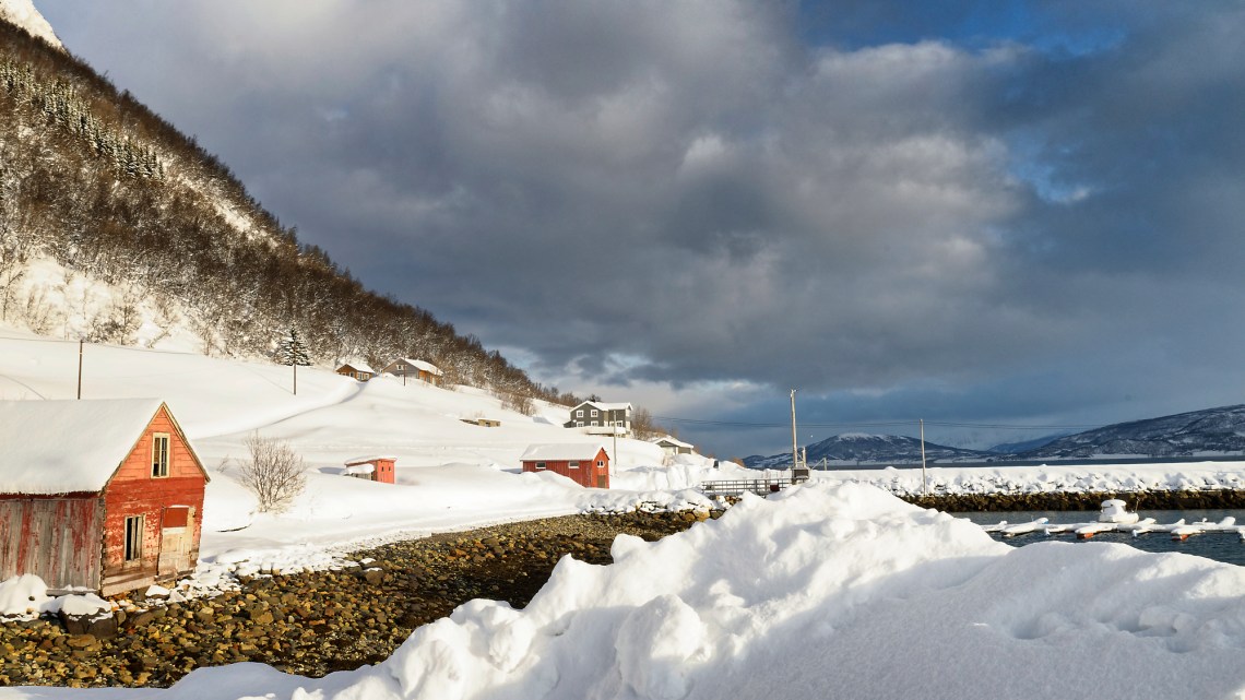 _DS07226_DxO_Nik_DxO