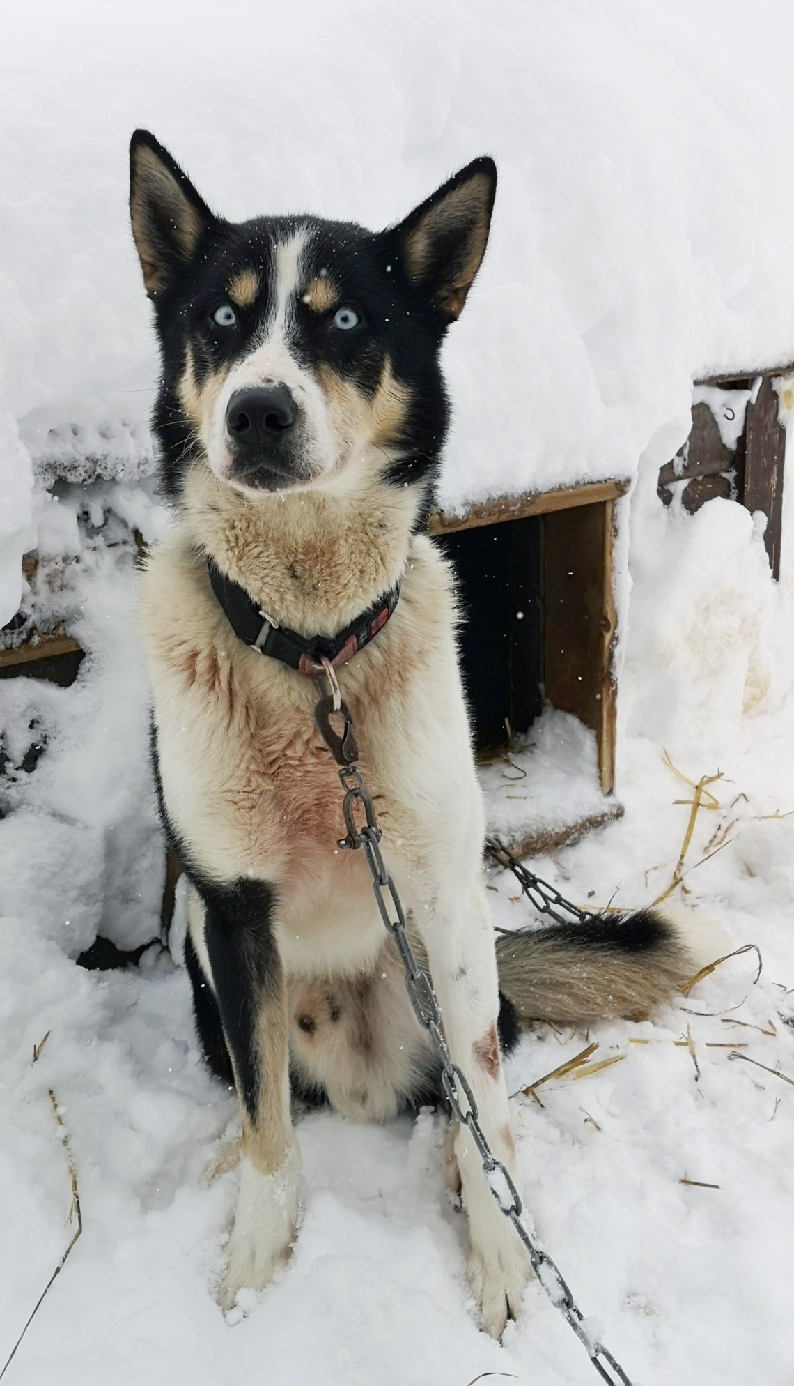 IMG_20200229_113125-01