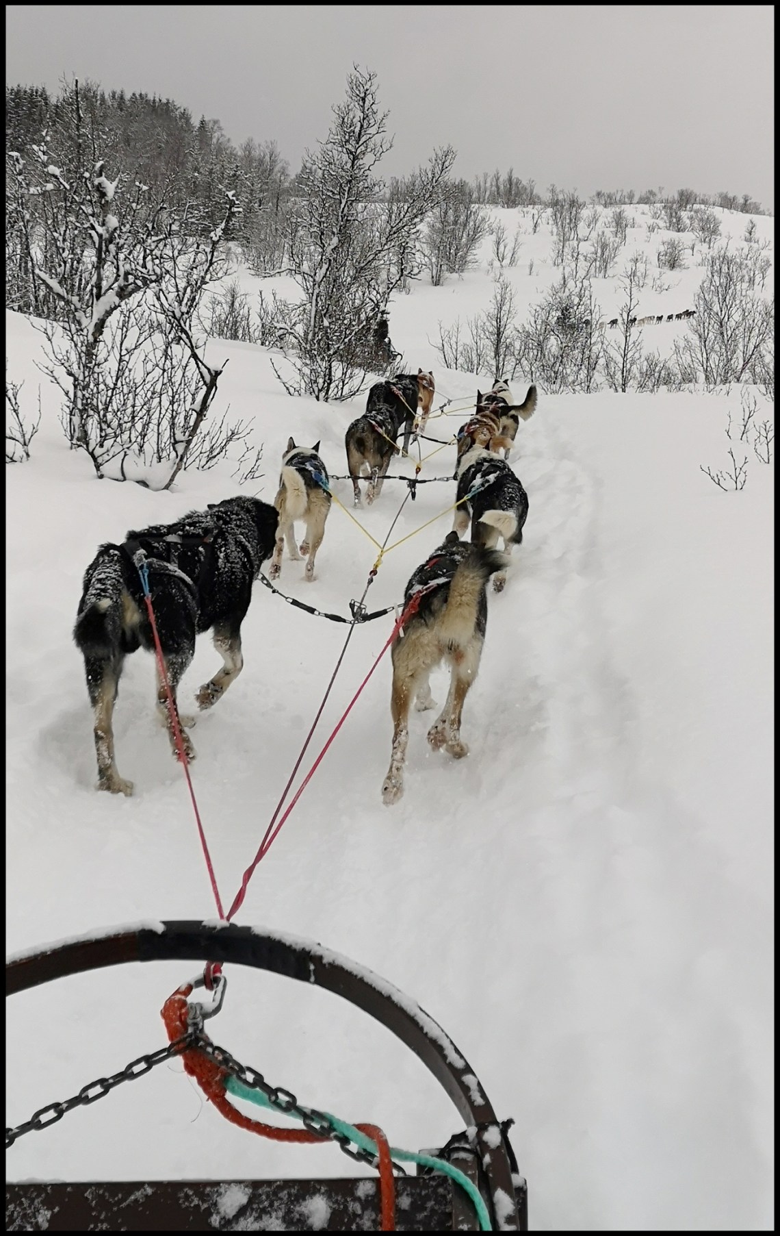 IMG_20200229_121257-01