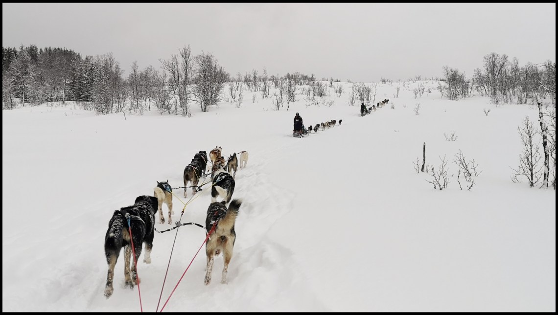 IMG_20200229_121309-01